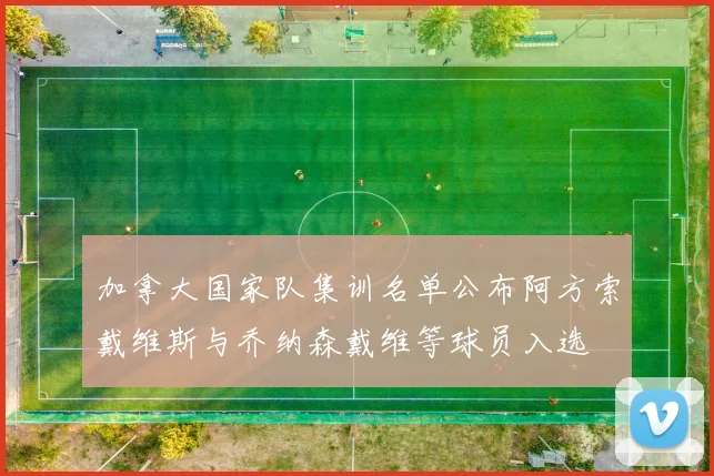 加拿大国家队集训名单公布阿方索戴维斯与乔纳森戴维等球员入选